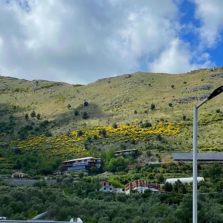 Fantazia Shkoder